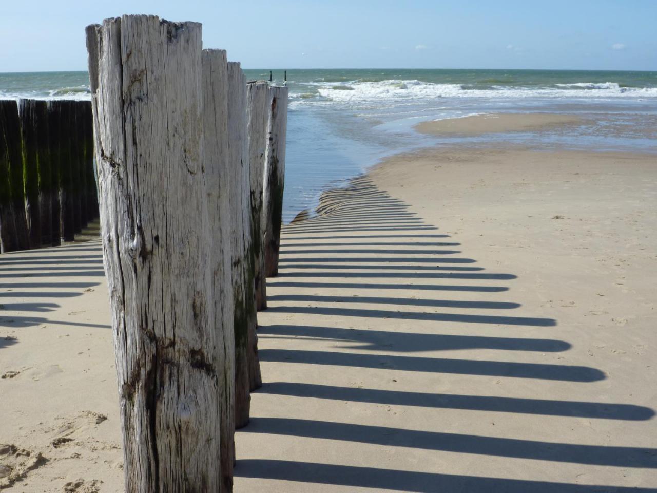 Prachtig Appartement Dichtbij Strand Do07 Domburg Exteriér fotografie